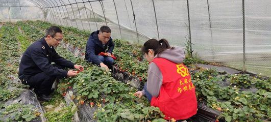 太姥山镇 春耕春管正当时，农技服务到田间——聚焦农业病虫害防治活动