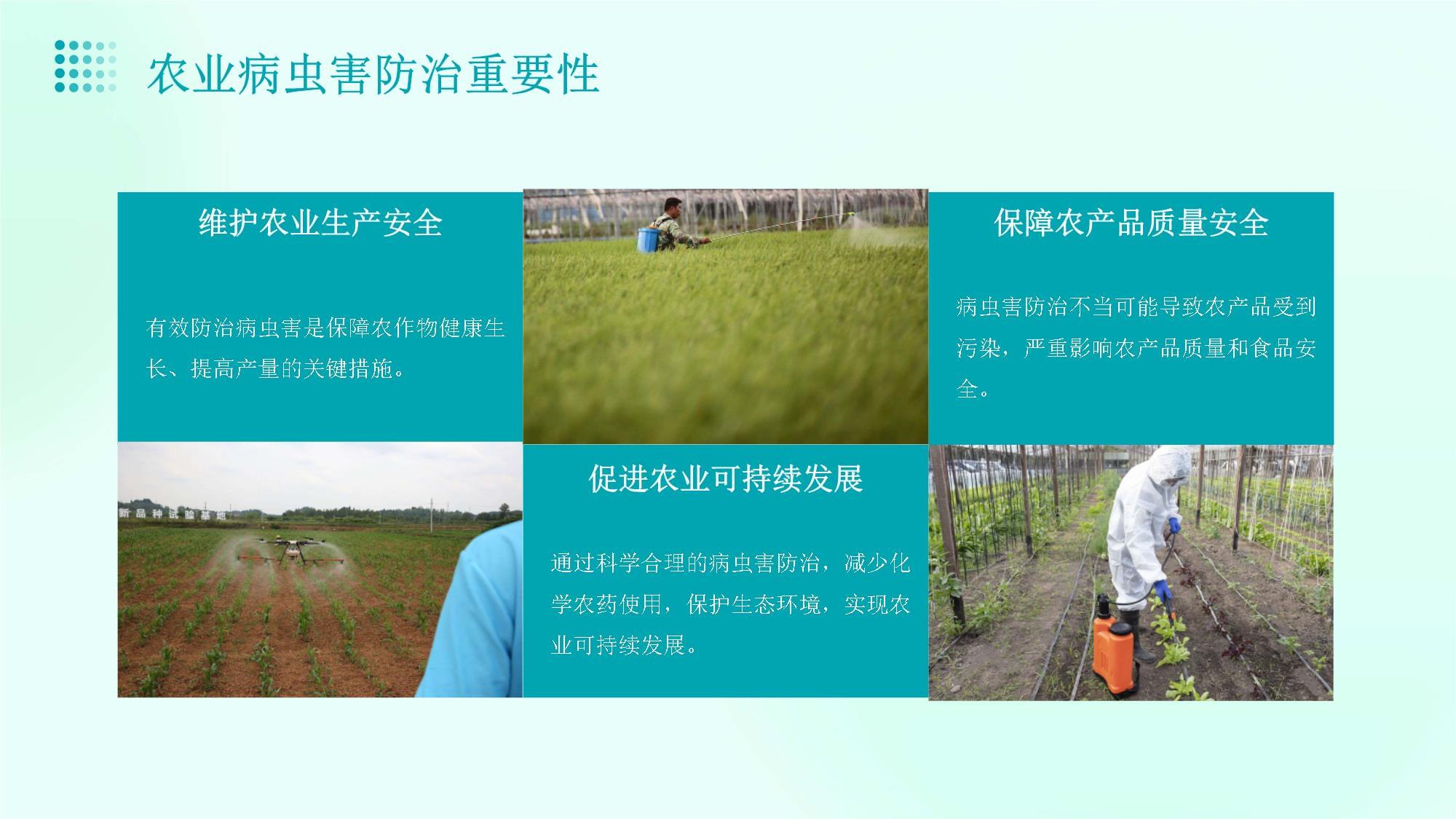 聚焦绿色防控 现代农业病虫害防治技术培训与实践