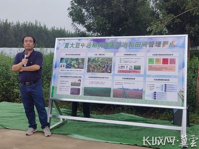 河北省大豆玉米带状复合种植突破百万亩，科技助力农业病虫害防治