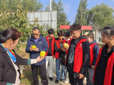 植保青春行，实践出真知——农业与生物工程学院学子赴曹州木瓜产业园开展病虫害防治社会实践