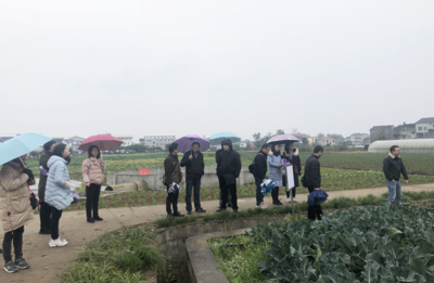 机关联科研 党建促发展 蔬菜研究党支部与市农业农村局机关第七支部联合开展农业病虫害防治党建活动