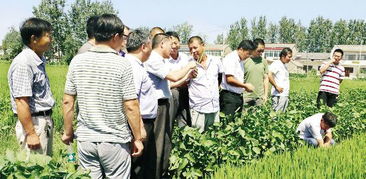 农业专家为淮安农户讲解水稻病虫害防治技术