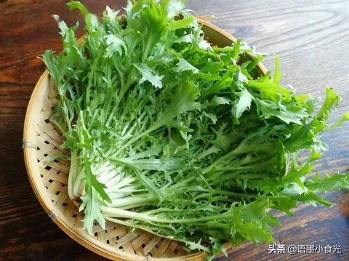 夏日养生必备 5种苦味食物清热凉血，轻松度夏